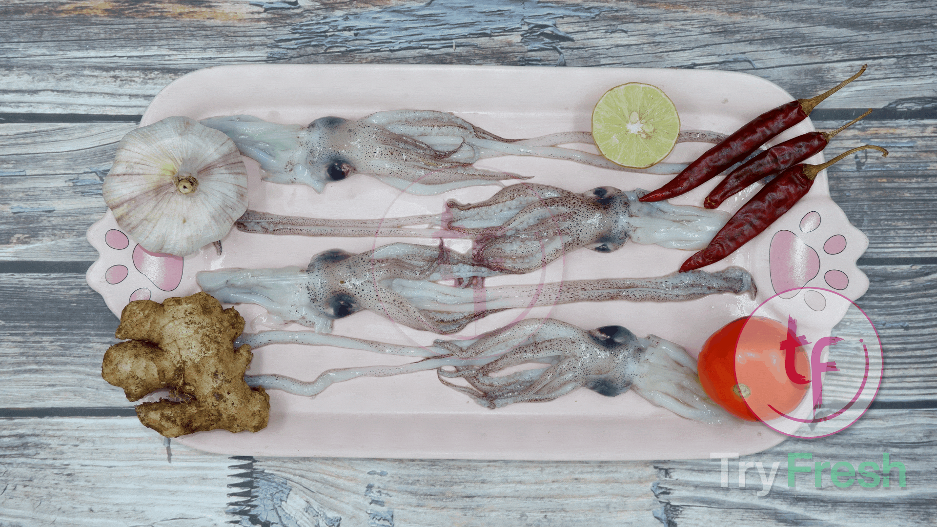 Kanava / Squid (Small) | கனவா - product media